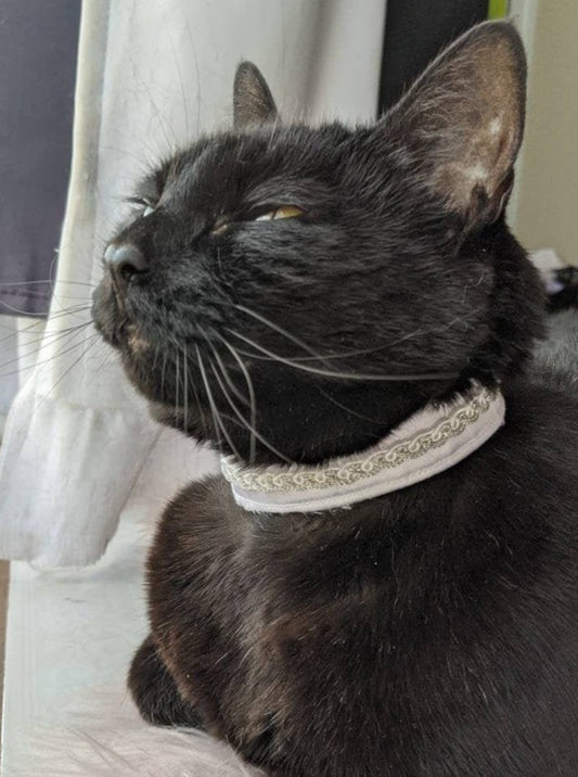 White Wedding Collar for Cat