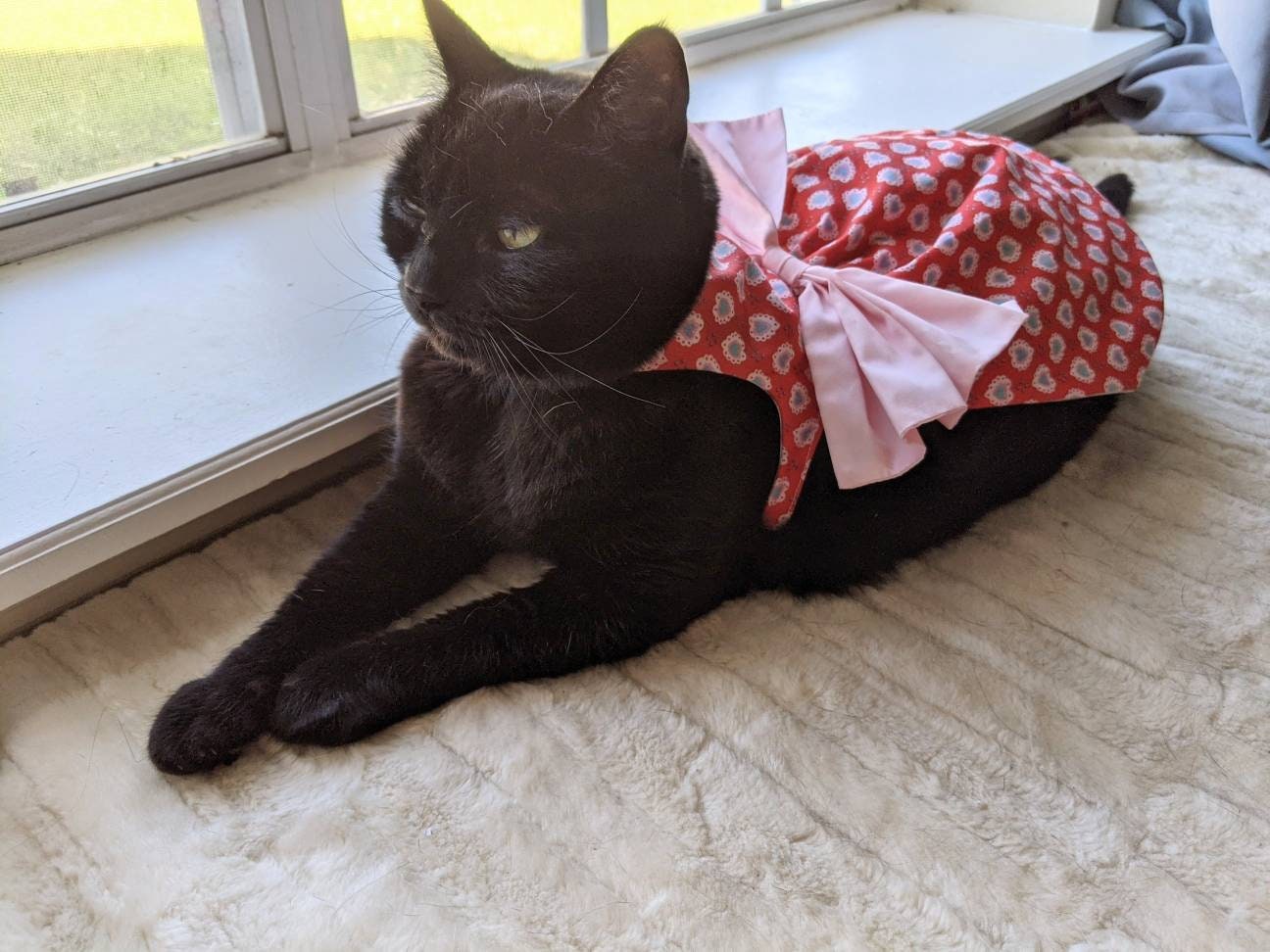 All the Hearts Cat Dress