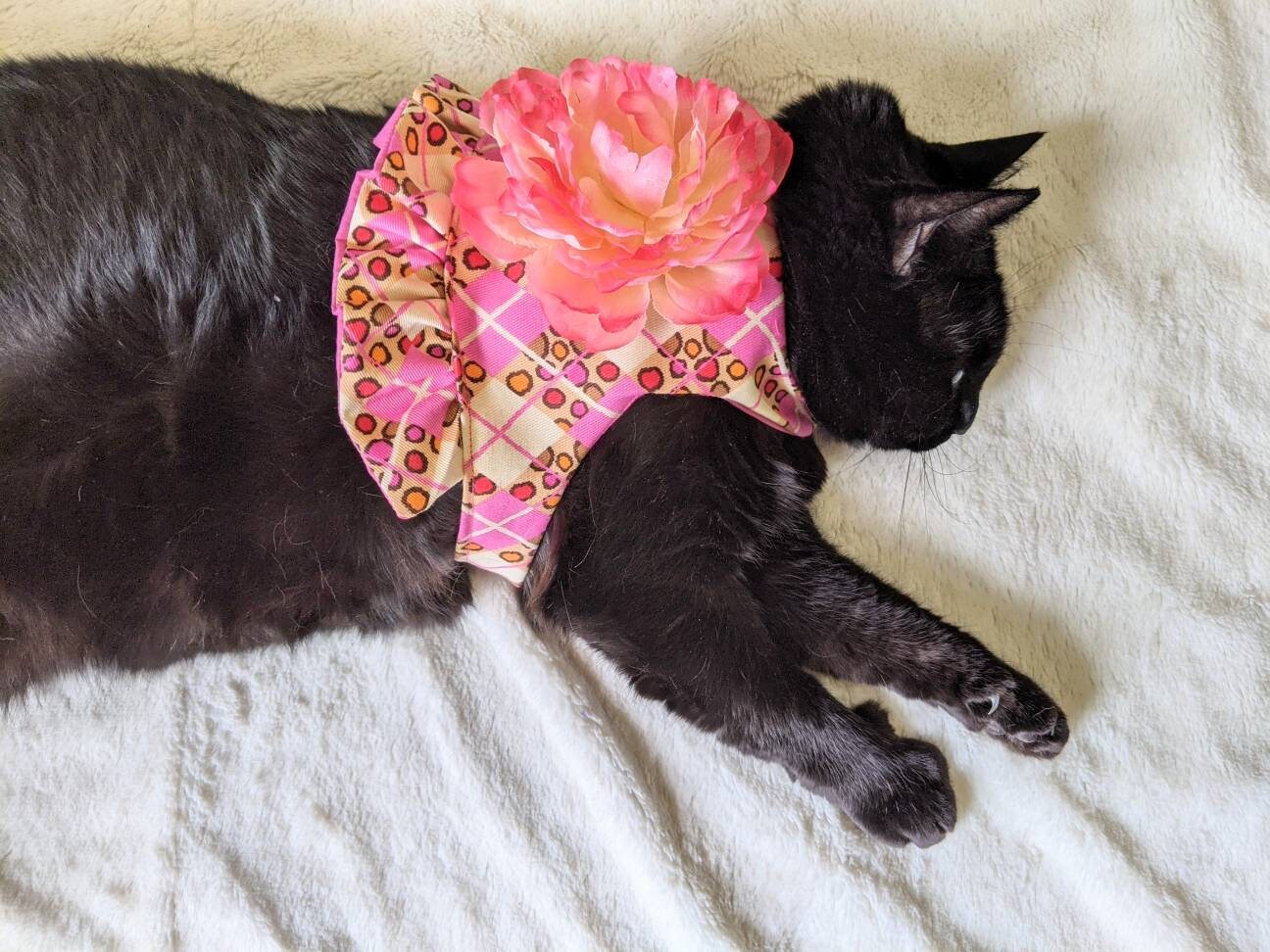 Pink Cat Jacket for Cat