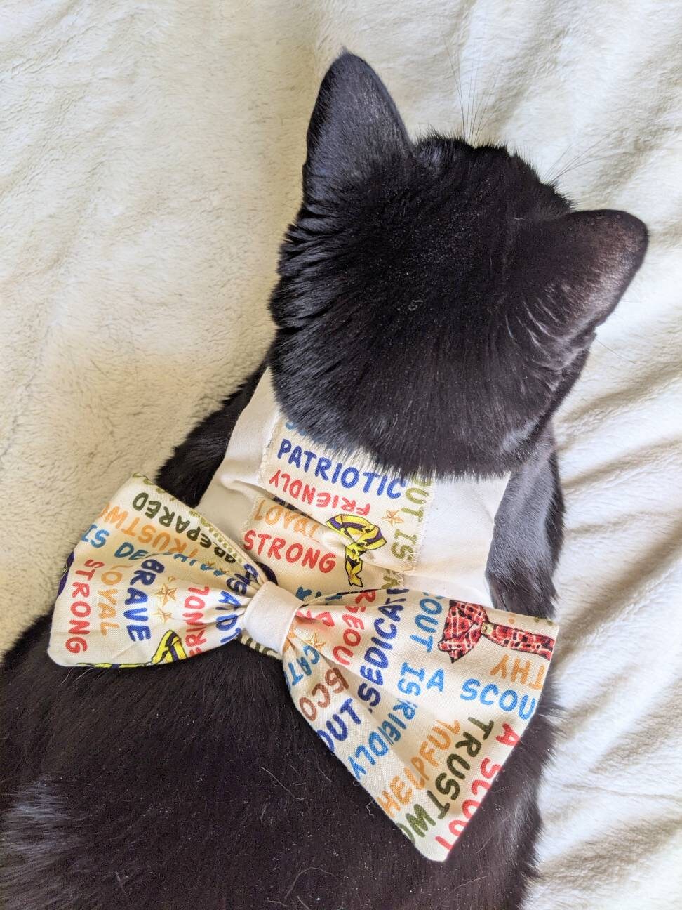 Scout Jacket for Cat
