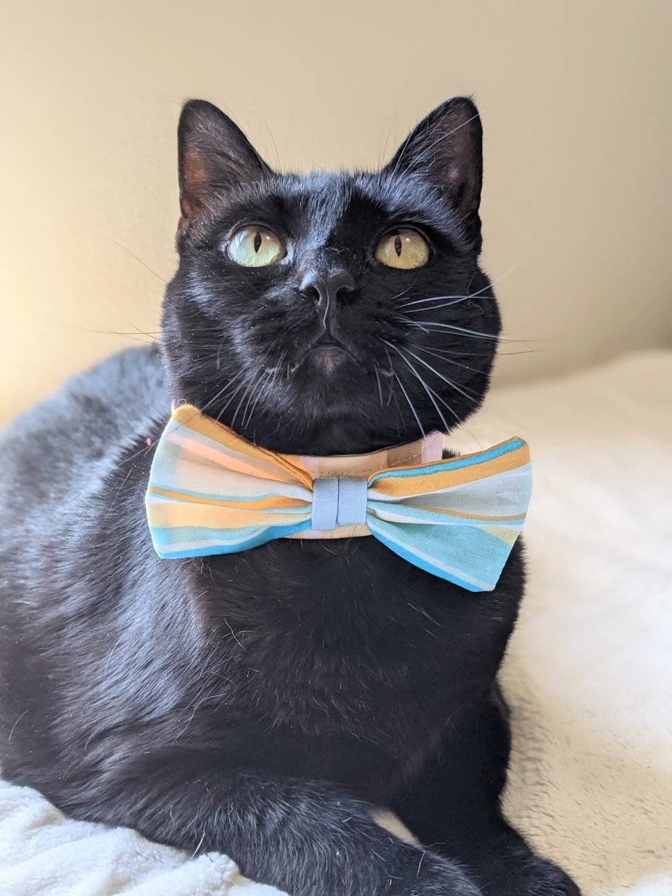 Wide Collar Adjustable Fabric Cat Accessory