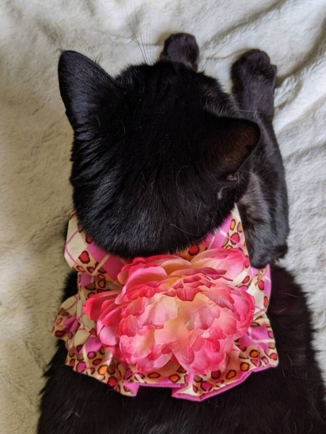 Pink Cat Jacket for Cat