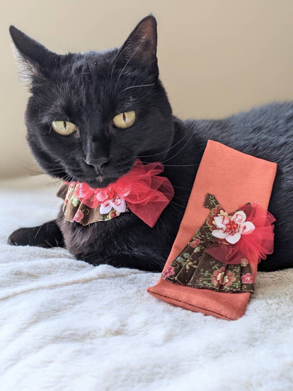 Cats and Fashion Cat Lover Gift Set