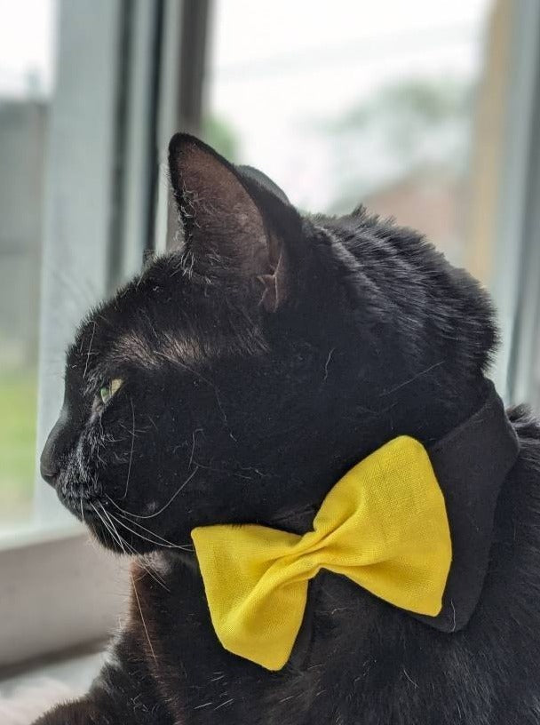 Lightweight Cat Accessory Bowtie Collar