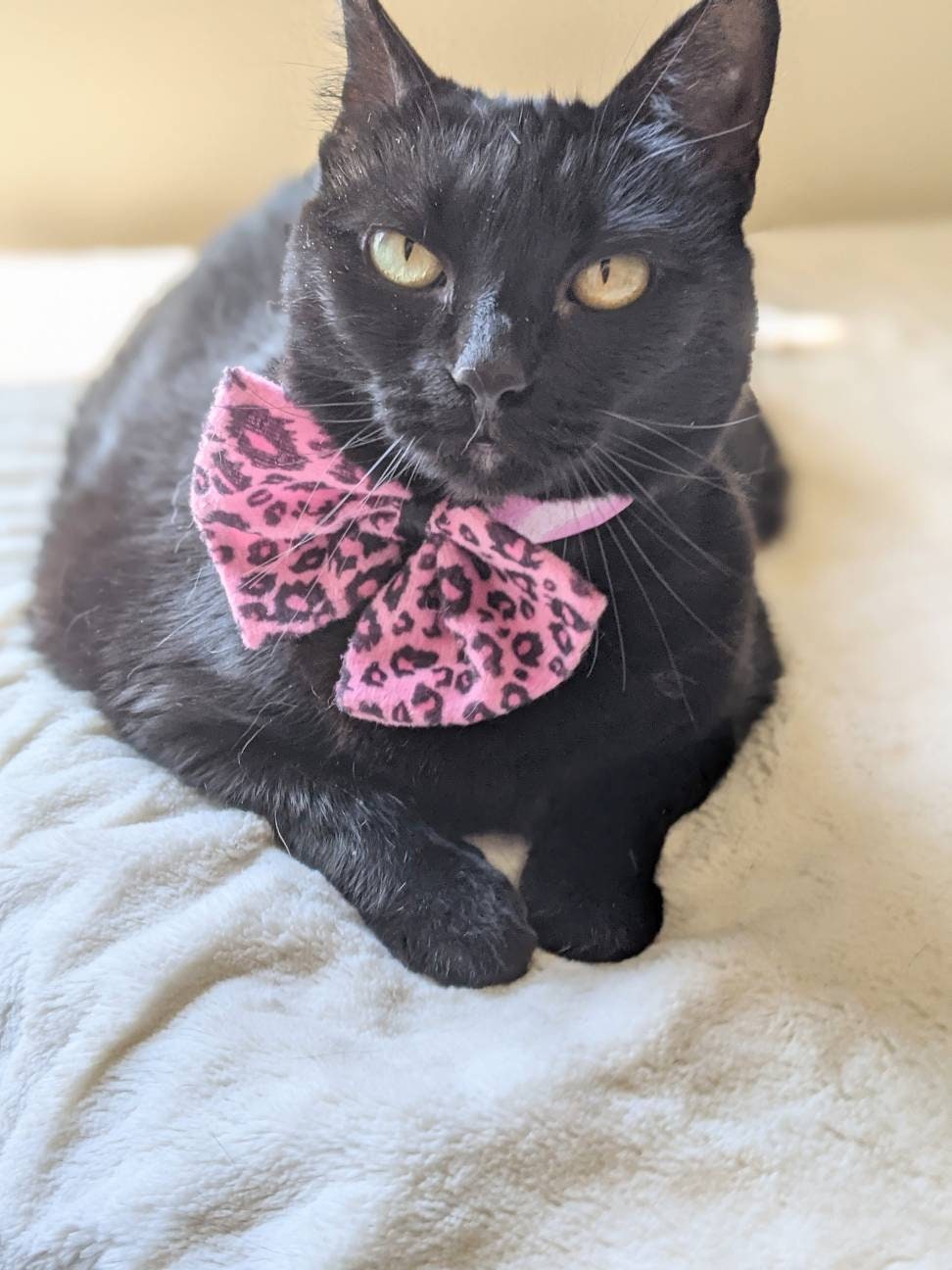 Pink Animal Print Cat Bowtie Collar