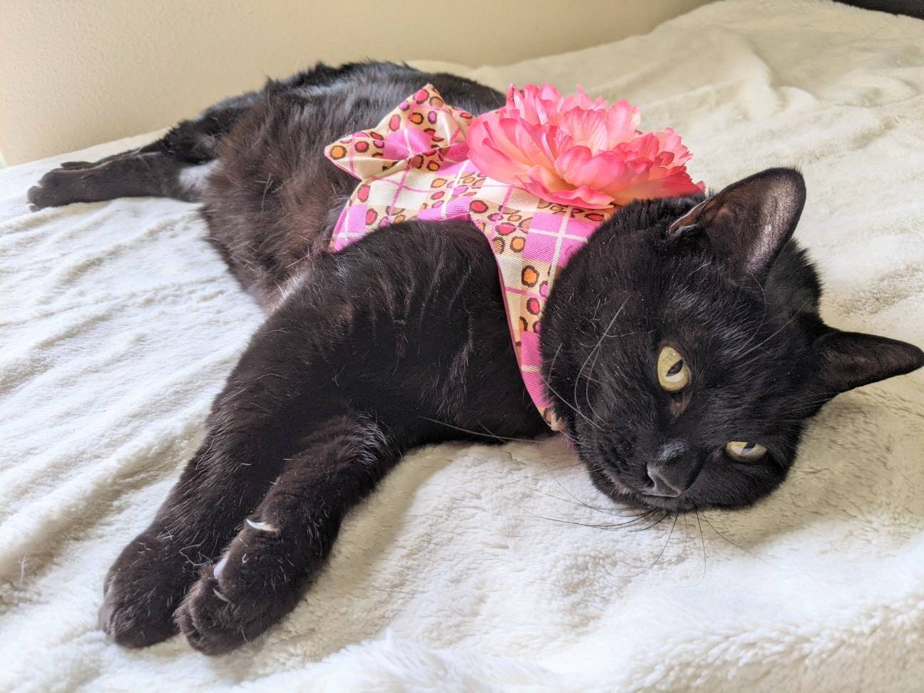 Pink Cat Jacket for Cat