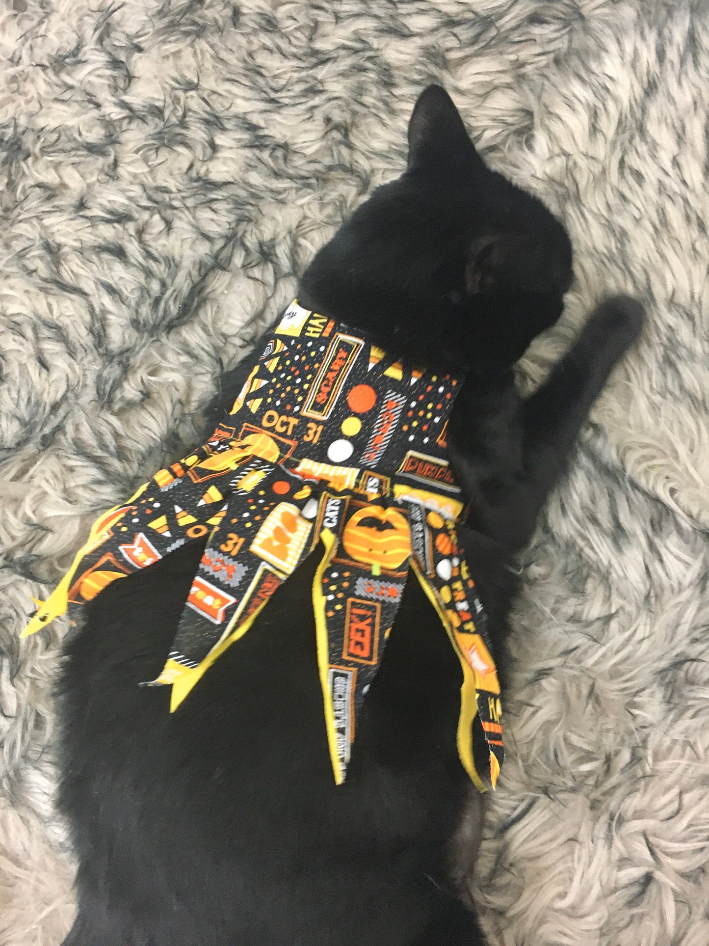 Wild Halloween Dress for Cat