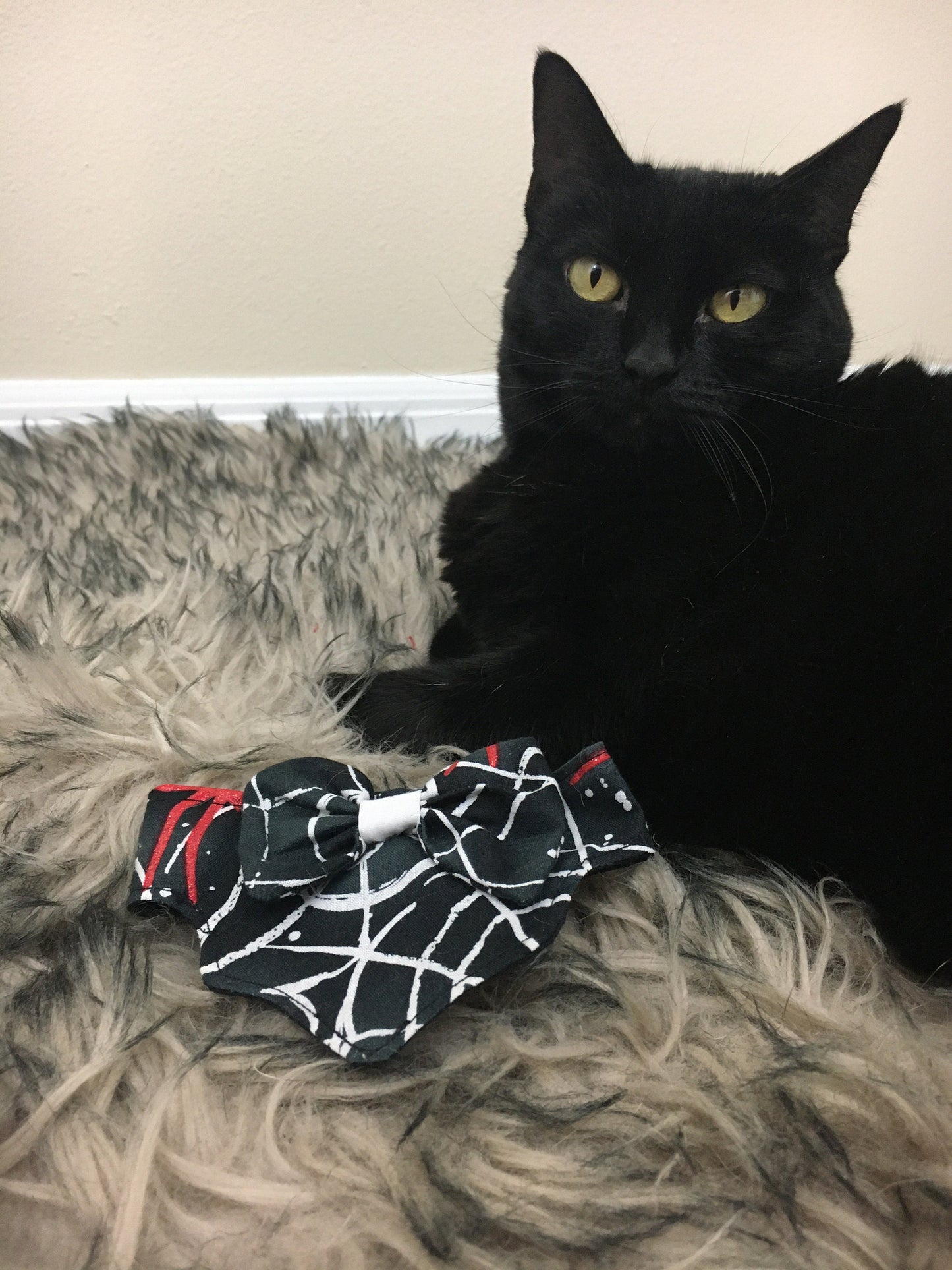 Spider Cat Collar