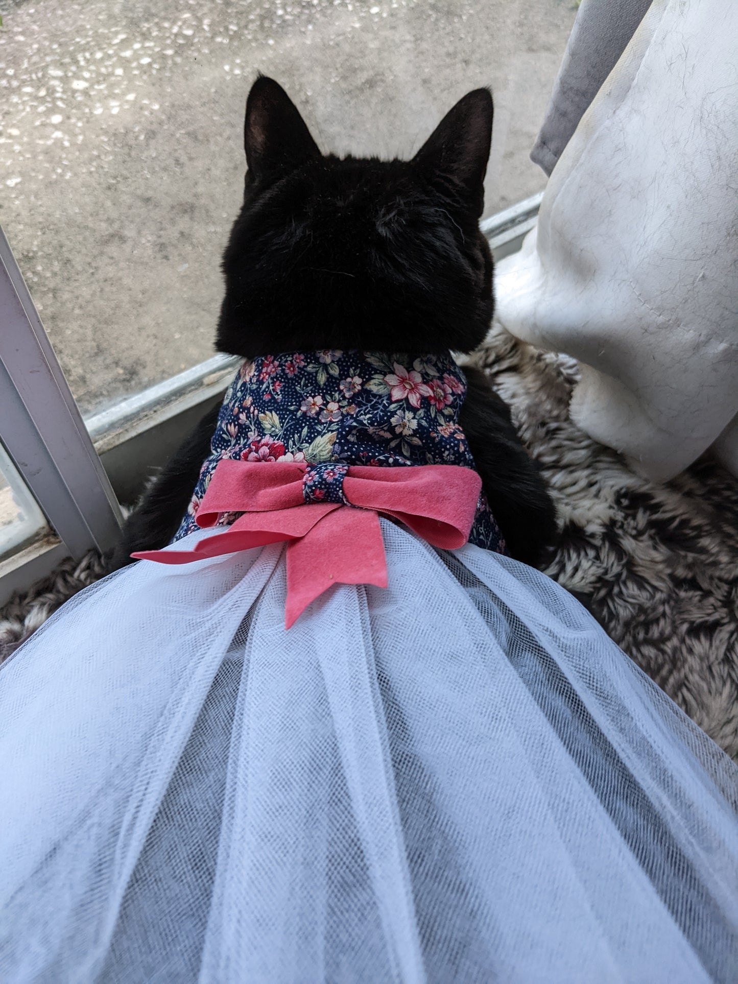 Elegant Cat Dress for Cat with Bow