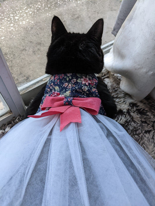 Elegant Cat Dress for Cat with Bow