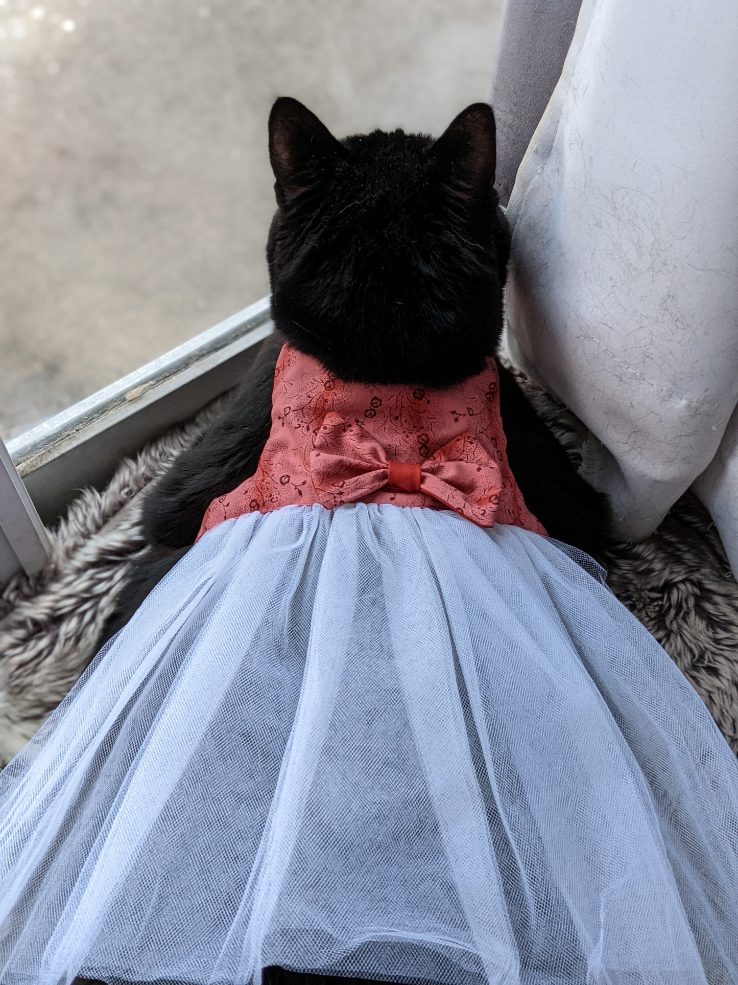 Pink Cat Dress for Cat with Bow
