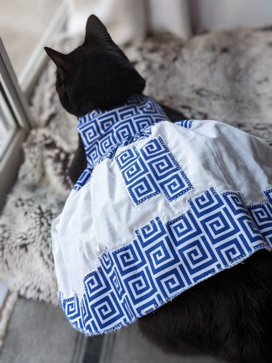 Blue and White Cat Dress for Cat